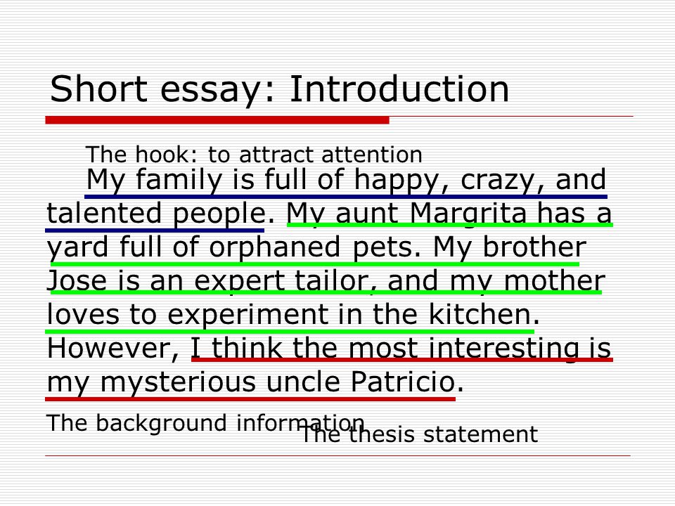 Paragraph writing on my family